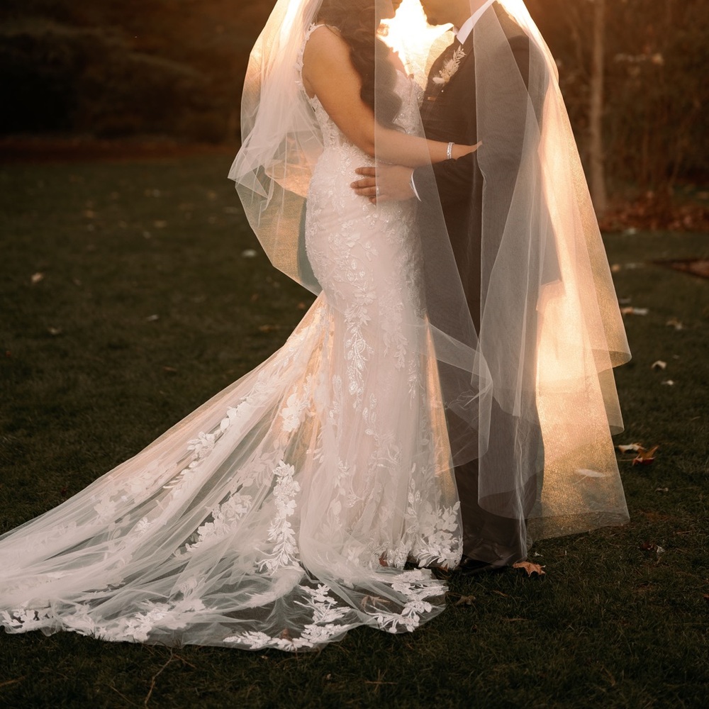 Badgley Mischka Etta - Picture 8 of 13